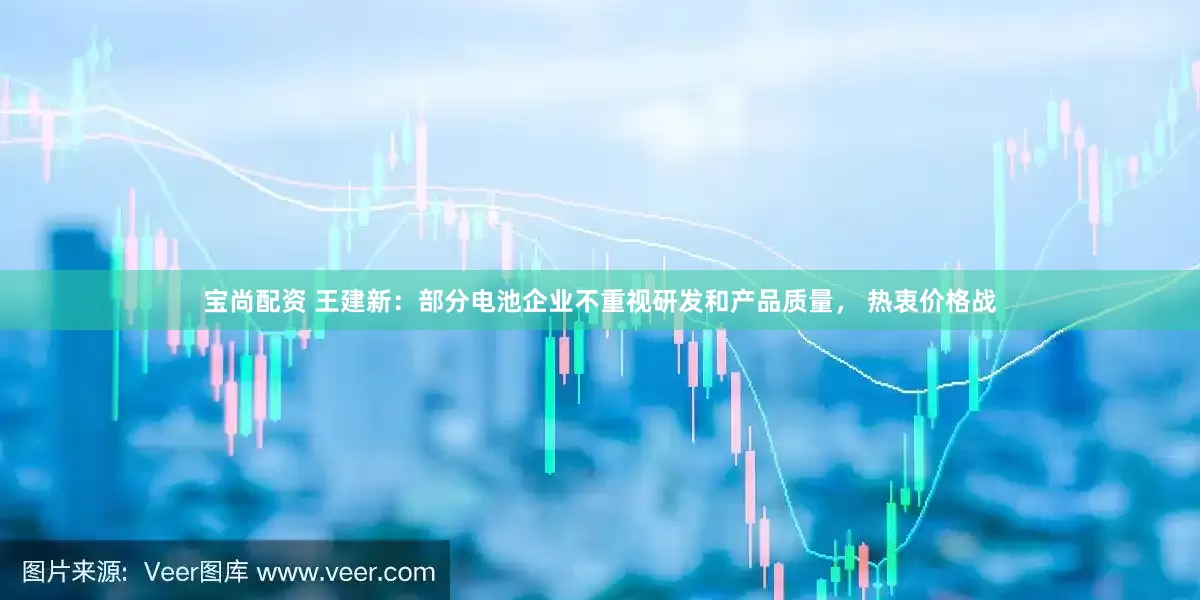 宝尚配资 王建新：部分电池企业不重视研发和产品质量， 热衷价格战
